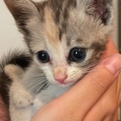 里親様決まりました！