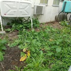 🉐草刈りお助けします❗❗🉐１時間２，０００円❗❗ - 手伝いたい/助けたい