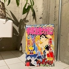 【手塚治虫マガジン　2004年3月号 　500円 杉並区】