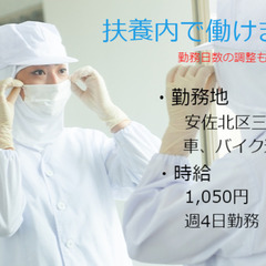 冷凍食品製造(軽作業)/広島市安佐北区三入/週4日勤務 c00395