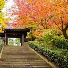 【古刹散歩】神社 古寺を ご一緒に