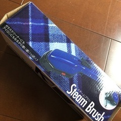新品　スチームブラシ　ガラスクリーナー　スチームアイロン