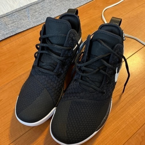 【NIKE レブロンウィットネスIII EP】
