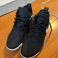 【NIKE レブロンウィットネスIII EP】