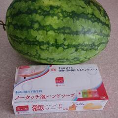 自家製すいかとじゃがいも