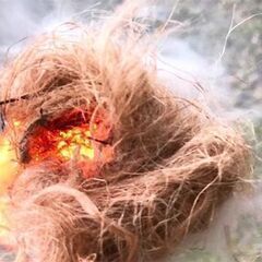 社員研修に「火起こし」を取り入れてみませんか？ - 広島市