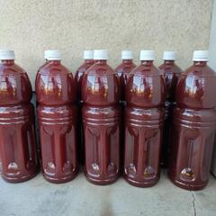 PSB(光合成細菌)自家培養  1.5L　