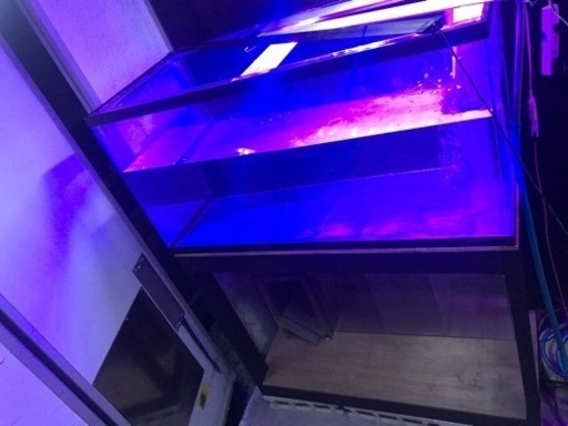ちょうど良いサイズ‼️‼️ 大型水槽‼️‼️ 1200×600×600水槽‼️