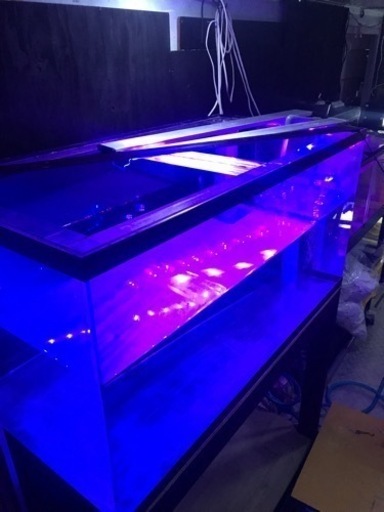 ちょうど良いサイズ‼️‼️ 大型水槽‼️‼️ 1200×600×600水槽‼️
