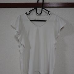 AG by aquagirl中古カットソー