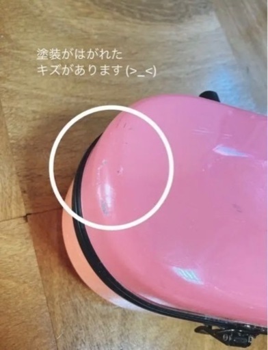 イーストマン　バイオリンケース