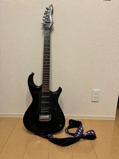 値下げ【日本製】RS WildCat AriaProⅡ