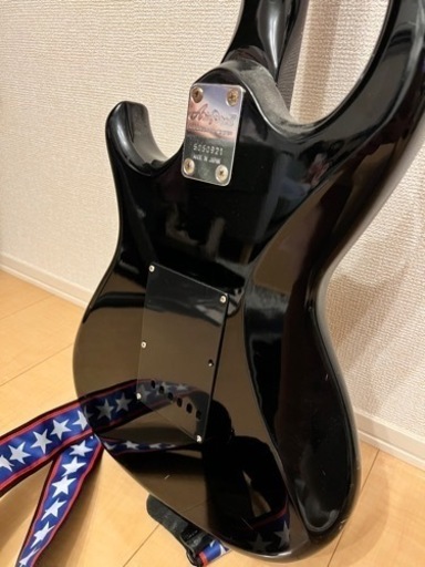 値下げ【日本製】RS WildCat AriaProⅡ 