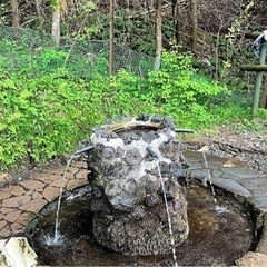 【秦野市近辺限定！】山の天然名水汲んできます！