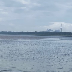 シーバスハンター募集中‼️
