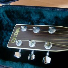 キャッツアイ　（マーチンのハードケース付き）の画像