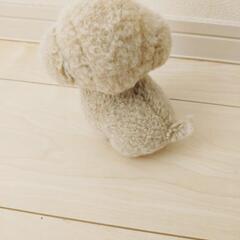 犬　うめ吉ぬいぐるみの画像