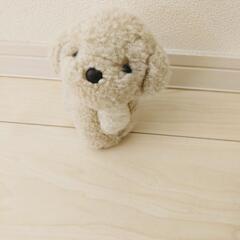 犬　うめ吉ぬいぐるみの画像