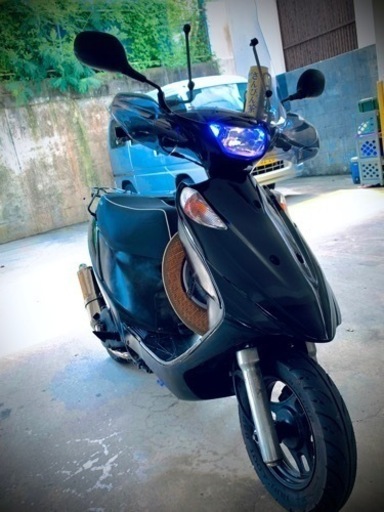 v125g K9