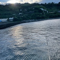 関東のアングラーさん✨お友達になってください🎣 - 青梅市
