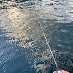 関東のアングラーさん✨お友達になってください🎣