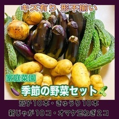 大量 季節の野菜セット 数量限定