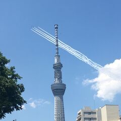 🟣🔵🟢短期日払いバイト12月末迄🟡🟠🔴の画像
