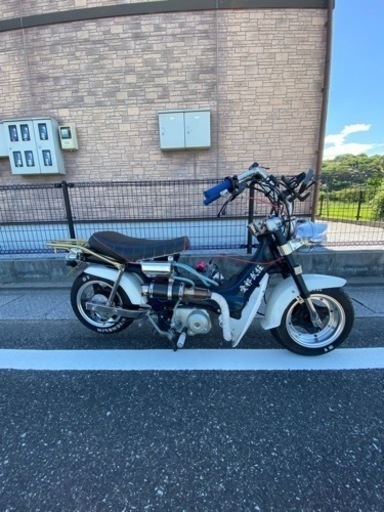 シャリー 88CC