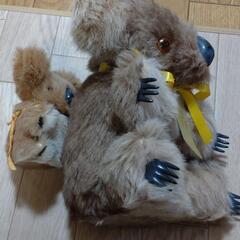 コアラぬいぐるみ　オーストラリアお土産の画像