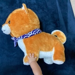 28日に処分します。豆しば三兄弟　犬のぬいぐるみ