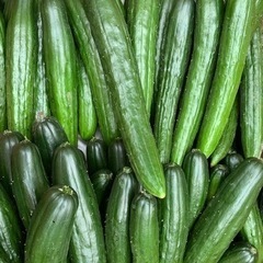 【21時まで】朝採れ！美味しいきゅうり