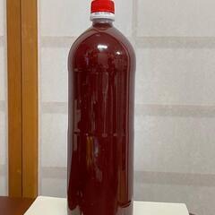 PSB 光合成細菌　メダカ　針子育成　水質改善に