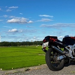 スズキ ウルフ250 2st 250cc 規制前 45馬力 ほぼフルノーマルの画像