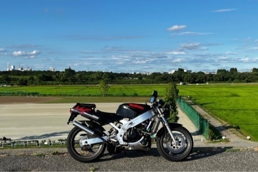 スズキ ウルフ250 2st 250cc 規制前 45馬力 ほぼフルノーマル