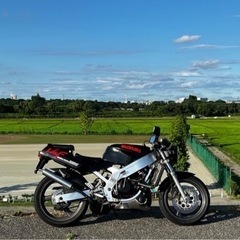 スズキ ウルフ250 2st 250cc 規制前 45馬力 ほぼ...