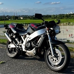 スズキ ウルフ250 2st 250cc 規制前 45馬力 ほぼフルノーマルの画像