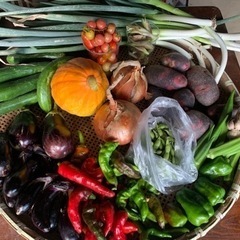 【7/31(日)限定】夏野菜セット ②