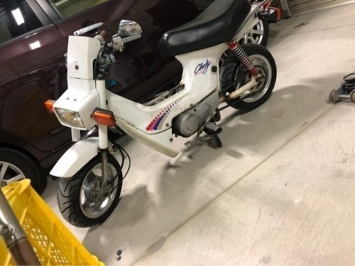 角目シャリー、シャリー