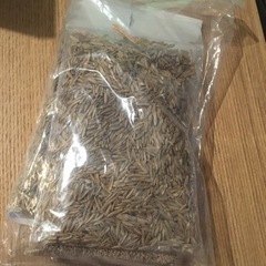 (決定済) うさぎの牧草　種の画像