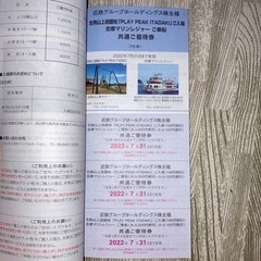 【7月末まで】近鉄全線無料チケット【株主優待】の画像