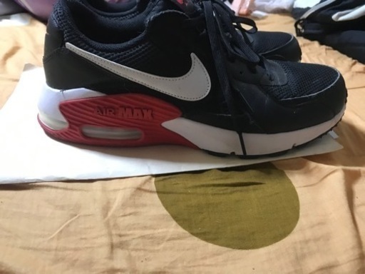 靴ナイキ