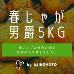【終了】じゃがいも 男爵 5kg