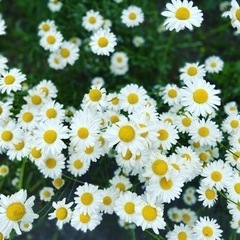 HSPの方お話ししませんか？