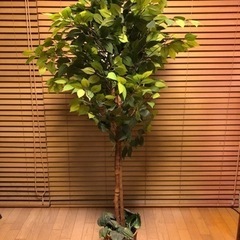 観葉植物　（造花、人工葉、フェイクグリーン）