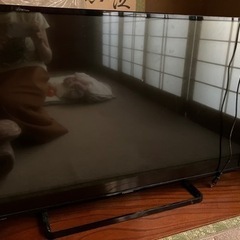 ジャンク　パナソニック TH-43D300 43型　