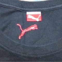 PUMA プーマ LOVEスニーカー Tシャツの画像