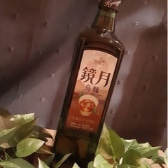 タイムセール　鏡月　ウーロン　まとめ割可能