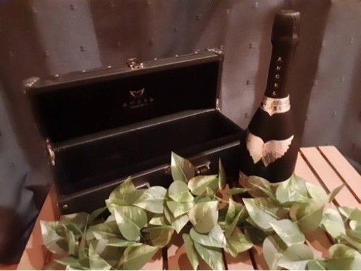 タイムセール　エンジジェル　ブラック　ケース付き