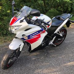 HONDA（ホンダ）CBR250R　MC41　前期