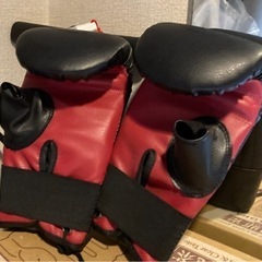 パンチング・グローブ